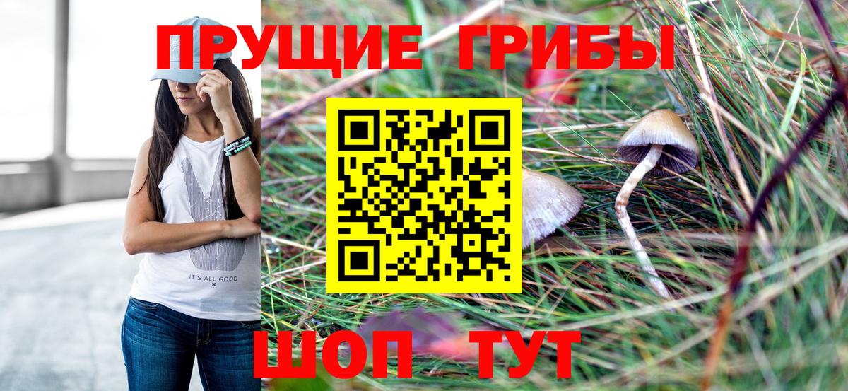 Псилоцибиновые грибы Psilocybe Артём