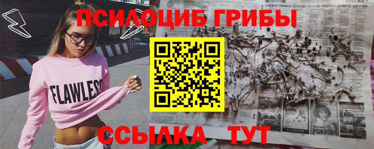 Артём  Псилоцибиновые грибы мухоморы  Вход с VPN 